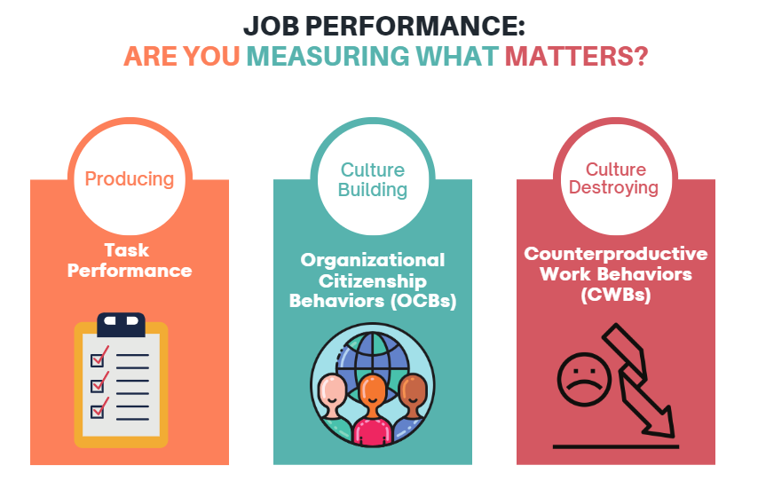 Improving Company Culture with OCBs