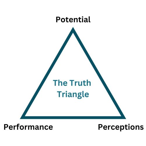 360 feedback tool - truth triangle