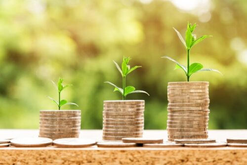 Three stacks of coins with plants growing on them.