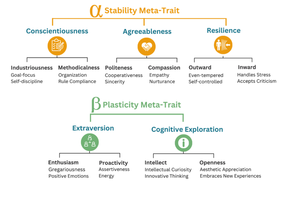 A diagram of the stability meta-trait.