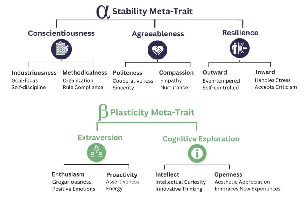 The Big Five Model of Personality