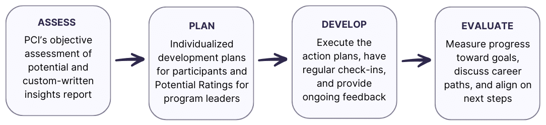 High Potential Assessments process steps
