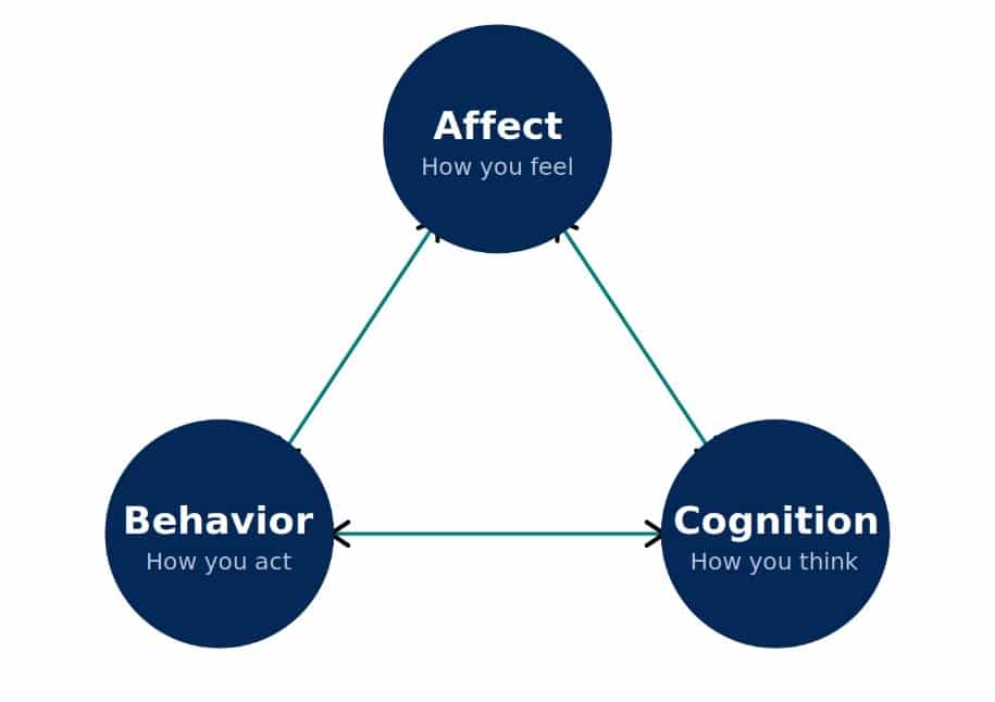 Diagram showing affect, behavior, and cognition as the three interconnected components of personality