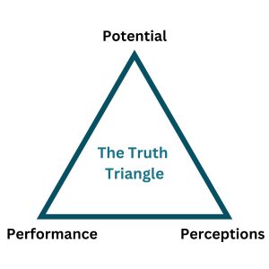 360 leadership assessment - 1 point on the truth triangle